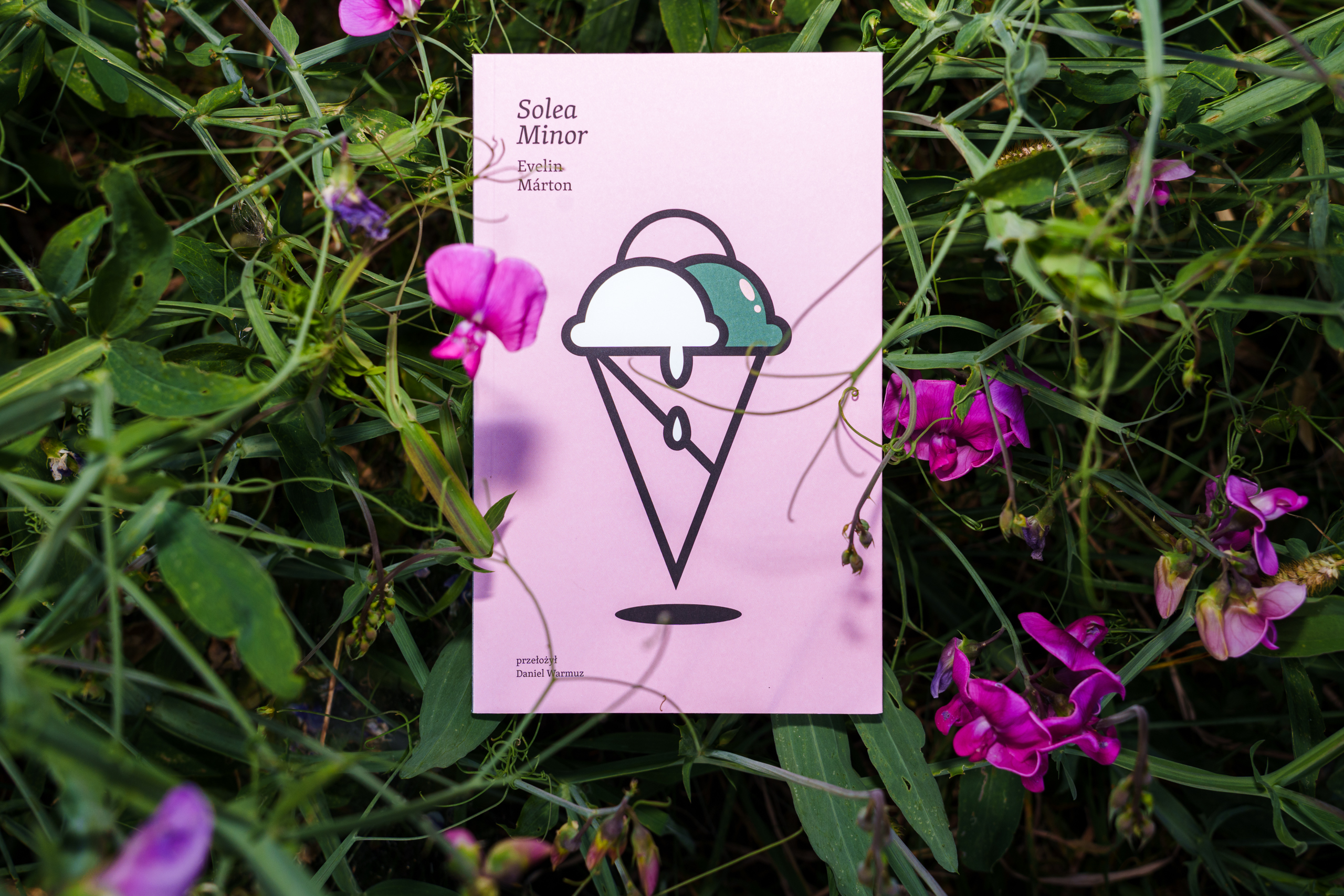 Solea Minor - obrazek 2