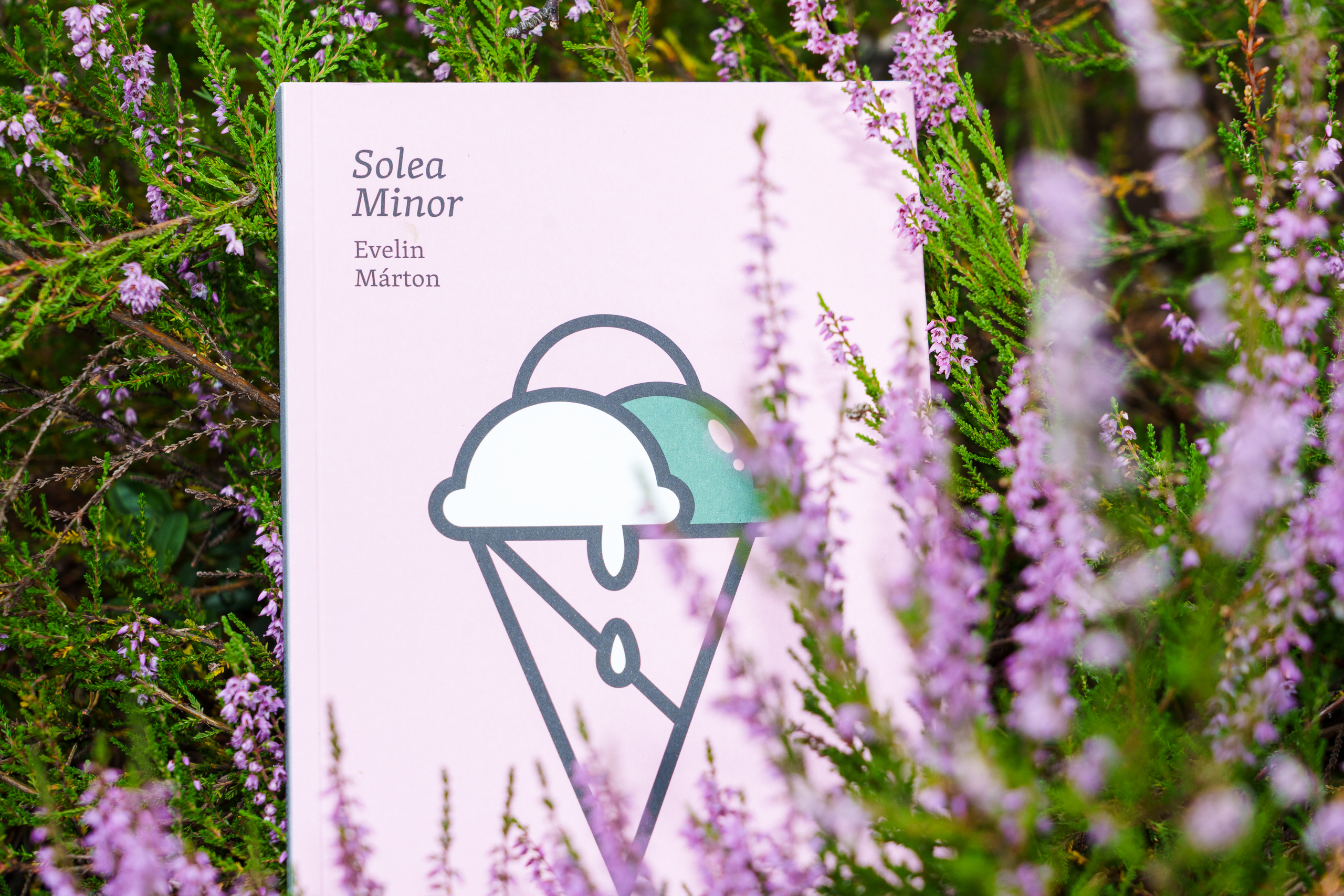 Solea Minor - obrazek 3